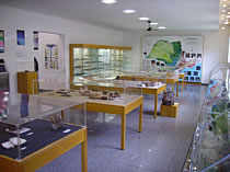 foto introdução Acervo MUGEO